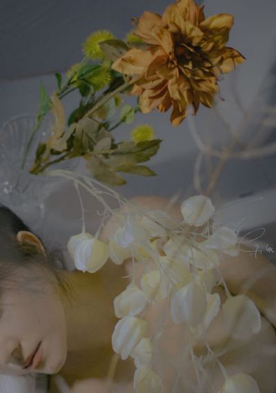 乡村爱情第5部小夜曲_DVD神马影院手机在线